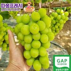 따봉프레시 GAP인증 프리미엄 특품 샤인머스켓 백화점납품용, 4) 프리미엄 특품 2kg (2-3수)