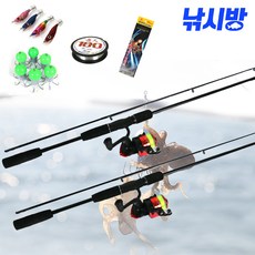 1+1 쭈꾸미낚시대세트 루어대2+릴2+채비최다구성-초특가, B타입