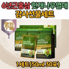 6년근 홍삼 허깨나무 헛개나무열매 농축액 50ml 30포 지구자 엑기스 액기스 건강 음료 건강 영양 간식 열매즙 헛개 열매 어머니 아버지 할머니 할아버지 홍삼음료 맛있는 하루한포
