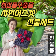 프리미엄 샤인머스켓 선물세트 고급 보자기 씨없는 포도 샤이머스캣 추석 과일 선물 세트, <b.2> 선물용 2kg(2~4수)