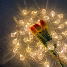 LED 앵두전구 방꾸미기 감성캠핑 루프탑 테라스 무드등 아이방 인테리어, 불투명 건전지타입 [리모컨증정]