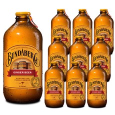 분다버그 진저비어 탄산음료, 375ml, 10병