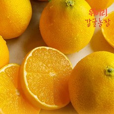 위미리감귤농장(2)제주 서귀포 고당도 황금향 하우스황금향 선물용 3kg 특상 3kg + 3kg 산지직송(12~15), 황금향3kg+황금향3kg