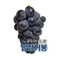 고당도 거봉 천안 입장 포도 특상 2kg (2~3송이) 4kg (4~6송이) 선물용 거봉, 1) 거봉 2kg 내외
