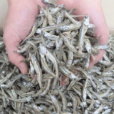 [삼대원] 남해안 특 상급고바멸치700g 고추조림용멸치 안주멸치 중멸치 고추장멸치 구매시 사은품 증정