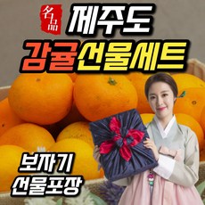 추석과일 제주 하우스 감귤 황금향 선물세트 2kg 3kg 5kg 10kg 제주도 선물용 추석 명절 선물 세트, <a.2> 제주도 감귤 3kg (선물용)