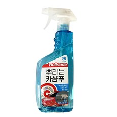 불스원 뿌리는 카샴푸 550ml / 0655, 단품, 단품