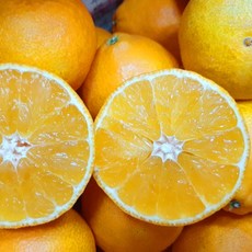 풍부한 과즙 진한 향 황금향 로얄과 가정용 2kg, 단품, 단품