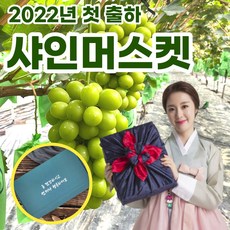 [2022년첫출하] 고당도 수출용 프리미엄 샤인머스켓 포도 1kg 2kg 샤인머스캣 선물세트 보자기, 4. (선물용) 고당도 샤인머스켓 2kg