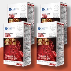 나토키나아제 혈행건강 나토키나제 나또키나제 낫도 낫또키나제 낫도키나제 Nattokinase, 4개(120정) 4개월