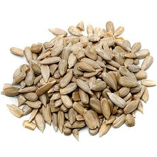 해바라기씨 1kg