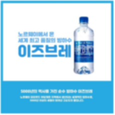 이즈브레 먹는 샘물, 500ml, 288개