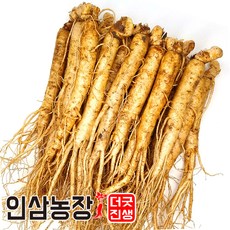더굿진생 금산인삼 수삼 햇인삼 원수삼 삼계탕재료 가정 업소용 350g, 1개, (세척안함)알뜰형 350g(11~15뿌리)