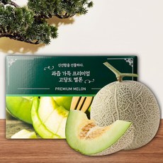 [비파괴당도선별] 고당도 프리미엄 머스크 메론 특대 멜론 추석 과일 선물 세트 4kg 8kg, 1. 머스크 메론 4kg(2수) 선물세트