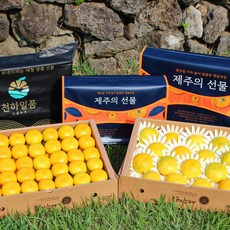 [귤담원]제주 추석 선물세트 천하일품 황금향 하우스감귤, 1박스, 제주 하우스감귤 선물세트 3kg(로얄과(S-M)
