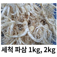 수삼 파삼 세척인삼 가정용 인삼 파삼 1kg 2kg 3kg 못생긴인삼 막삼 대용량 (세척유무선택), 세척파삼1kg