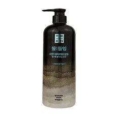 [LG생활건강]리엔 물들임 새치커버 샴푸 대용량 550ml, 1개