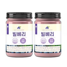 바로푸드 빌베리 분말 150g 야생 블루베리 가루 농축 파우더, 2통
