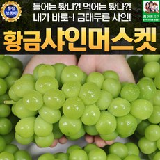 김천 황금 샤인머스켓 4kg 4-5수 망고포도