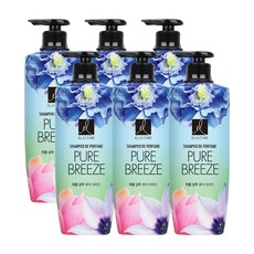 엘라스틴 퍼퓸 퓨어브리즈 샴푸, 600ml, 6개