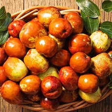 생 사과대추, 사과대추 (대) 2kg
