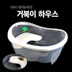 거북이하우스, 1개