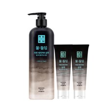 [자연갈색] LG 리엔 물들임 새치커버샴푸 450 ml + 새치커버 샴푸 80ml 2개(추가증정), 단품