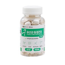 궁 반려동물 유산균 동결건조 영양제 70g, 황태, 1개