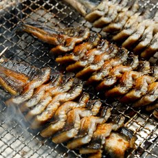 당일손질 자연산 통영 바다장어 대사이즈 특대 손질 장어 구이 1kg 2kg 3kg 붕장어 구이용 탕용 포장 장어뼈 소스증정, 1_2. 2kg 대사이즈(8-12마리)