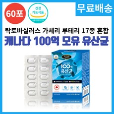 캐나다 100억 모유 유산균 락토바실러스 가세리 bmr17 장내 유익균 증식 프락토올리고당 식약처 인증 히알루론산 콜라겐 장건강 영양제 분말 스틱 60포, 60포 x 1박스