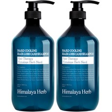 부케가르니 나드 쿨링 탈모 샴푸, 1000ml, 2개