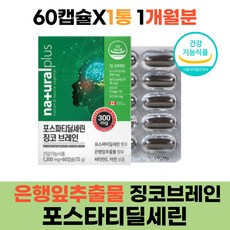 부모님 기억력 인지력 포스파티딜세린 징코브레인 피에쓰 은행잎추출물 60캡슐 1개월분 비타민E 아연