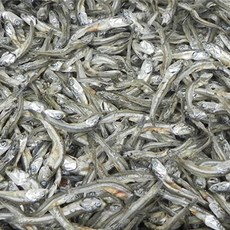 [정성애찬]고바멸치 300g