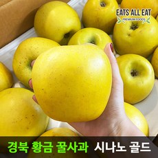 이츠올릿 경북 시나노 골드 황금 꿀사과 5kg (가정용 대과 10-12과) 노란 스위트 사과 청송 밀양 얼음골