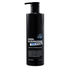포르맨즈 쿨클린존 젤타입 남성청결제, 500ml, 1개