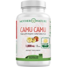 비타민C 메가도스 아스코르빈산 비타민씨 천연 Mother Nature Organics Camu 베리 120정, 1