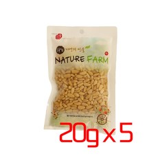 잣 (중국산) 20g 5개 (20g x 5봉)