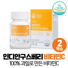 인디안구스베리 암라 비타민C 정, 인디안구스베리 비타민C 60정, 2개(4개월), 600mg