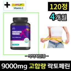 [100% 정품] 락토페린 9000mg 고함량 추천 식약처 인증 해썹 모로오렌지 프랑스산 웰빙곳간 체지방분해 / 장용성 스키니랩 코팅 락토패린 락토페닌 효능, 120정 x 1통 , 4개월