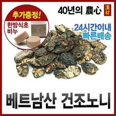 자애인 노니 300g 베트남산 건조노니 노니열매, 1개