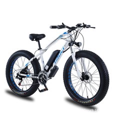 TOC 전기자전거 36V 48V 750W PAS 스로틀겸용 21단기어, 36V 350W 10AH, 화이트