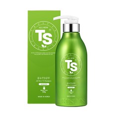 TS 올뉴 TS 샴푸, 500g, 1개