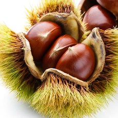 22년 부여산 햇 밤 알밤 생밤 2kg, 03_ 부여밤 (특) 2kg