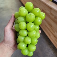 달콤한 고당도 샤인머스켓 김천 가성비 포도 가정용 못난이 선물용 2kg, 가정용 소과2kg(4수~5수)