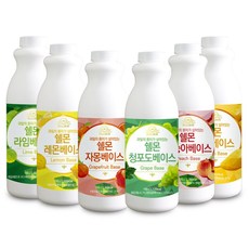 쉘몬 과일 농축액 베이스 1kg 모음전/농축액(시럽) 베이스 및 액상타입 베이스, 쉘몬 과일 액상타입 베이스 자몽1kg(액상)