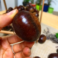 충주밤 소태밤 이평 석추 햇밤 특 대 1kg, 이평밤 중 1kg