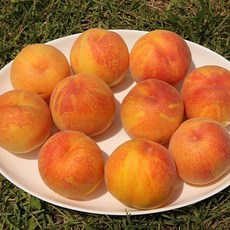 햇사레 장호원 황도복숭아 4kg 10-13과, 없음