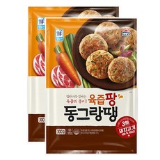 대림 육즙팡 동그랑땡 300g X2