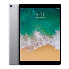 A급중고 애플 아이패드 프로 10.5형 WIFI 64GB/256GB/512GB, B급 실버/셀룰러, 64GB