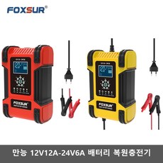 FOXSUR 퍽셔 3세대 7단계 자동차 오토바이 충전기 동차배터리충전기 12V12A 24V6A, 12A, 노란색
